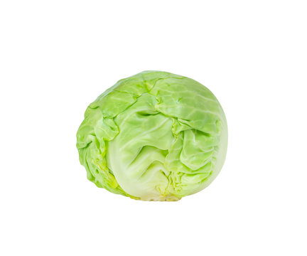 Cabbage isolated on white background