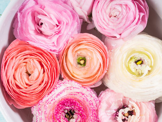 Beautiful pink ranunculus spring background. Woman mother's day wedding. Holiday elegant flower arrangement