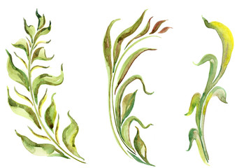 watercolor branches of different styles