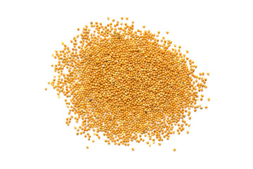 seed for bird food isolated on white background