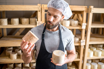 Handsome cheese maker checking the aging process of the goat cheese standing at the small cellar