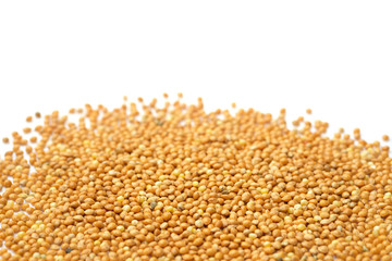 seed for bird food isolated on white background