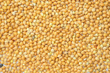 seed for bird food, birdseed background
