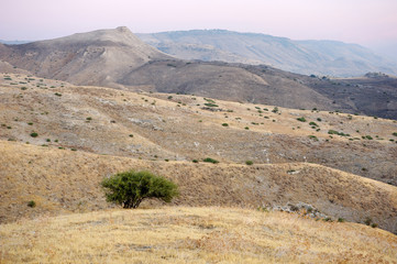 Slopes of the Golan Heights
