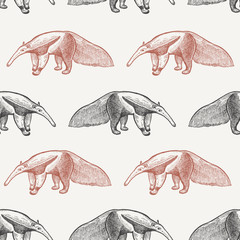Seamless pattern with Giant anteater.