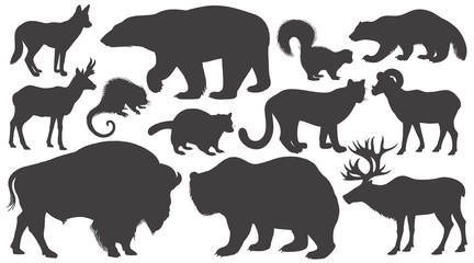 Set of silhouettes animals of North America.