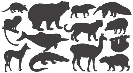 Set of silhouettes animals of South America.