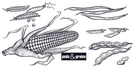 Beans and grain set. © marinavorona