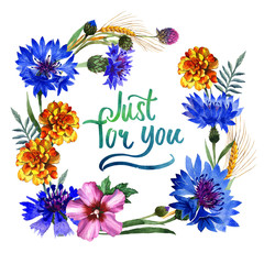 Wildflower carnation flower frame in a watercolor style isolated.