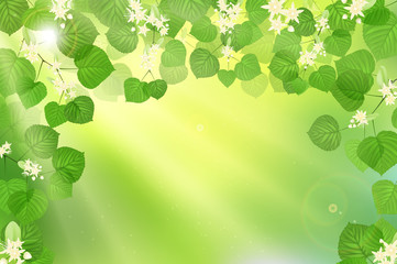Forest fresh green leaves with sun rays. Spring and Summer Background