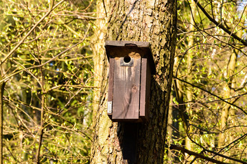 Bird booth hung on a tree