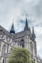 Fototapeta na wymiar Saint Waltrude church in Mons, Belgium.