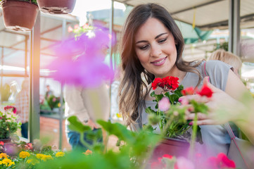 Young woman holding geranium in clay pot at garden center. Young woman shopping flowers at market...