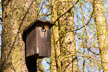 Bird booth hung on a tree