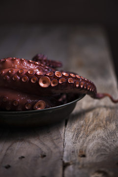 An octopus tentacle