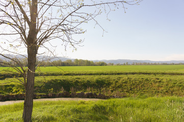 Paisaje Toscana