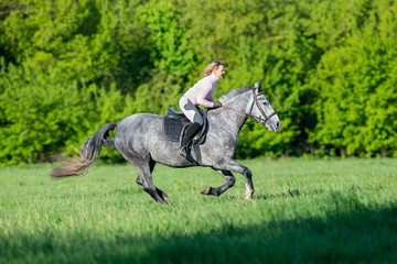 Woman rides a horse in field in the morning in springtime. Horseback riding.