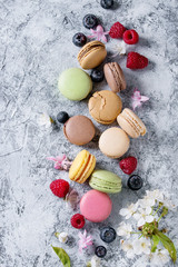 Variety of colorful french sweet dessert macaron macaroons with different fillings served with spring flowers and berries over gray texture background. Top view with space