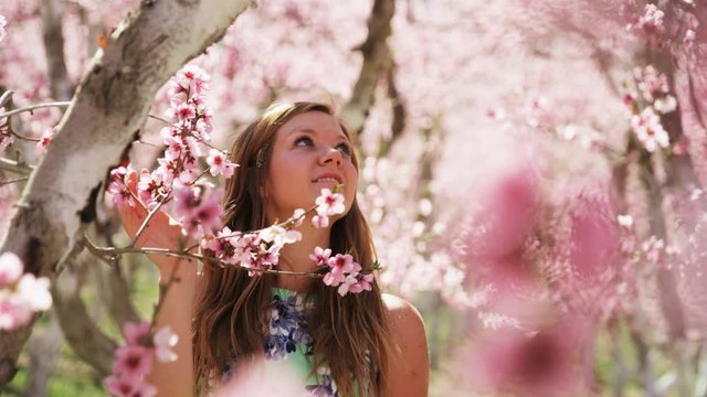 slow motion, girl admiring pink blossoms in orchard