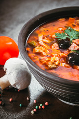 Traditional Russian soup solyanka