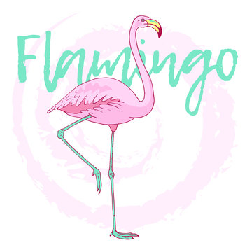 Vector pink flamingo bird illustration. Hand drawn sketch with the wild animal on abstract background