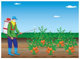 agriculturist sprays tomato plant vector design
