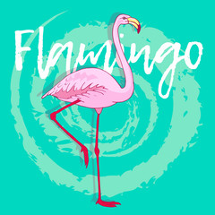 Obraz premium Vector pink flamingo bird illustration. Hand drawn sketch with the wild animal on abstract background