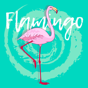 Vector pink flamingo bird illustration. Hand drawn sketch with the wild animal on abstract background