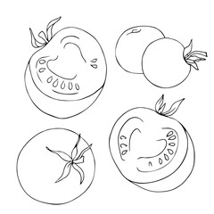 vector white black contour sketch of tomato