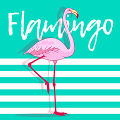 Vector pink flamingo bird illustration. Hand drawn sketch with the wild animal on abstract striped background