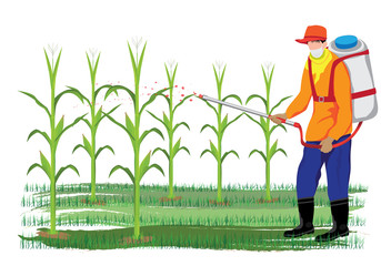 agriculturist sprays corn plant vector design