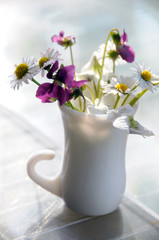 Violets and daisies in a vase