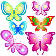 beautiful color butterflies,set, isolated  on a white