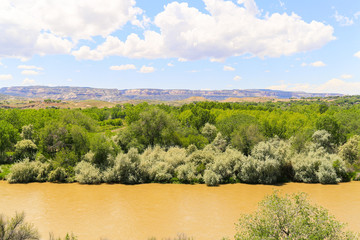 Gunnison River near Grand Junction