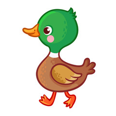 Vector illustration with a bird in cartoon style.