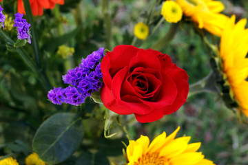 Bouquet with red rose, lavender and sunflowers