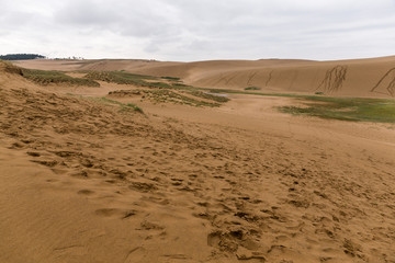 Tottori sand dunes