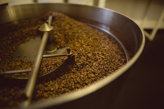 Coffee beans poured inside coffee roasting machine