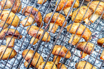 Appetizing and tasty organic broiled / roasted / baked / smoked champignon mushrooms with brown crust cooked on campfire on a grill on grey live embers background at weekend picnic