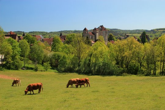 Curemonte (Corr&egrave;ze)