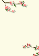 Elegant frame of  pink sakura cherry blossoms.