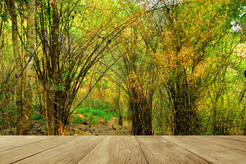 Naklejka na ściany i meble Empty top wooden table bamboo forest in nature at landscape