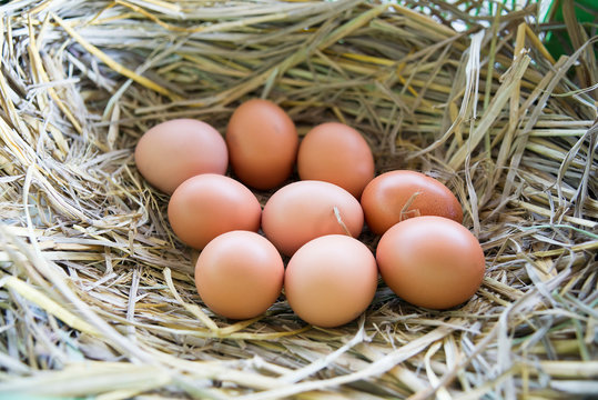 Hen eggs in straw ,fresh farmer's egg.