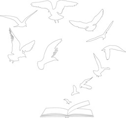 seagulls flying above open book outline on white