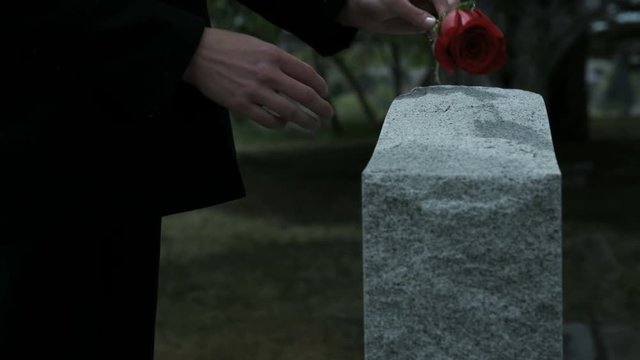 slow motion woman's hands placing rose on grave stone in cemetery