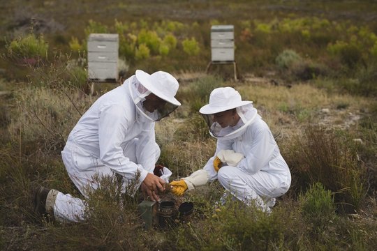 Beekeepers preparing bee smoker on field
