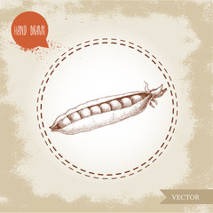 Hand drawn sketch pea pod with seeds inside. Vector organic food illustration on grunge vintage background.
