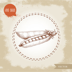 Hand drawn sketch pea pod group. Vector organic food illustration on grunge vintage background.