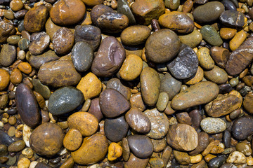 Closeup river rock background, outdoor day light