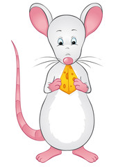 Cute white lab mouse